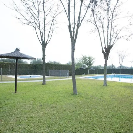 Chalet Chalet Olivar Alto Sevilla Canovas Gelves